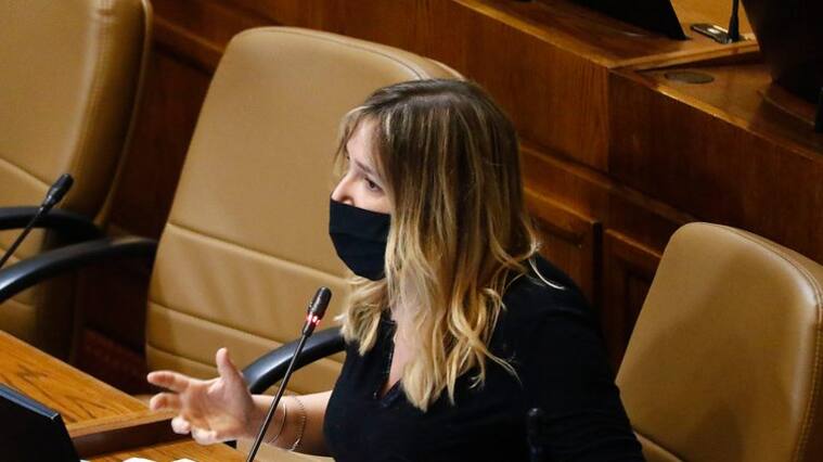Diputada Maria Jose Hofmann