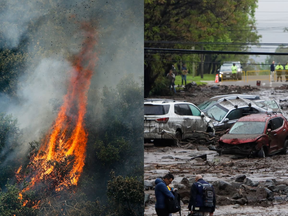 Cambio climático en Chile: advierten que lluvias de hoy podrían aumentar riesgo de incendios y aluviones