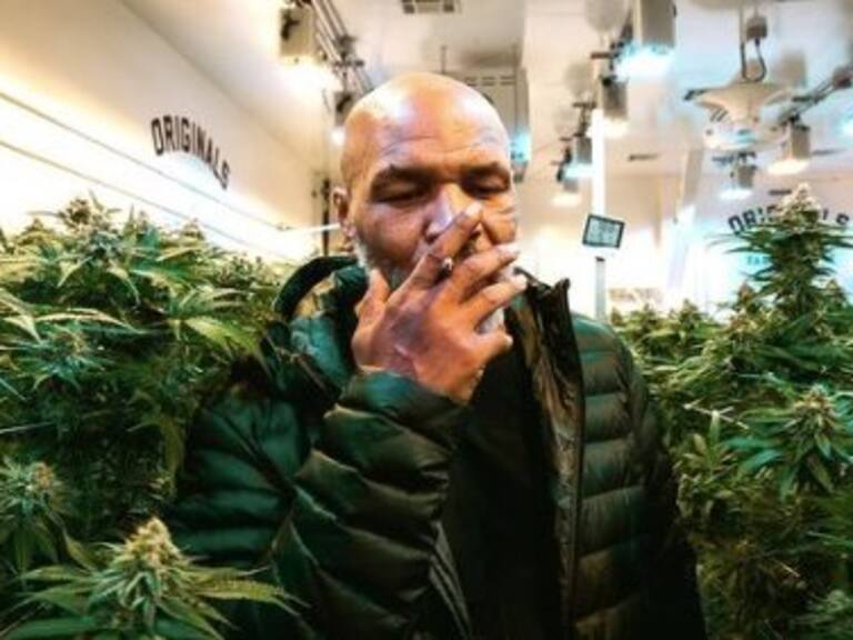 La estratosférica cifra que gana Mike Tyson con el cultivo de marihuana medicinal