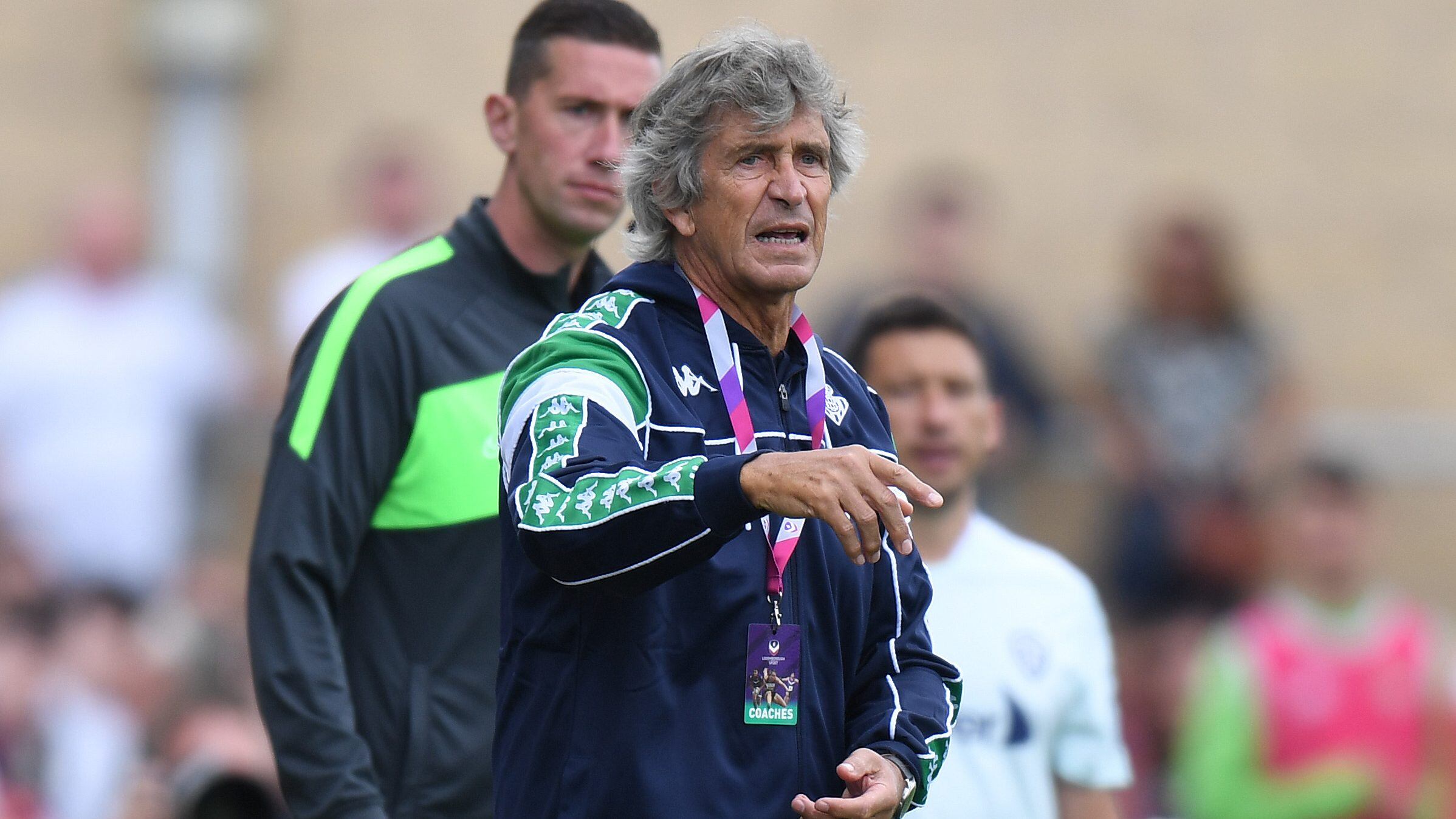 Pellegrini Bravo