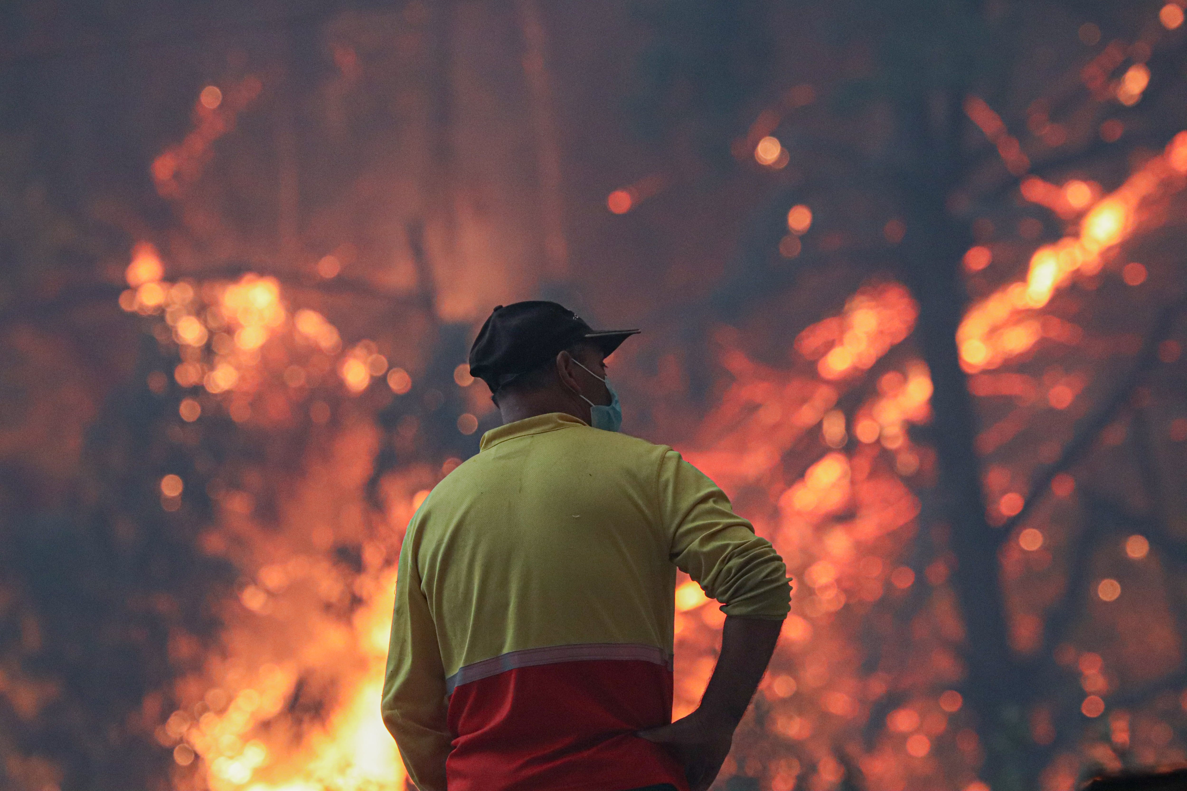 Incendio forestal