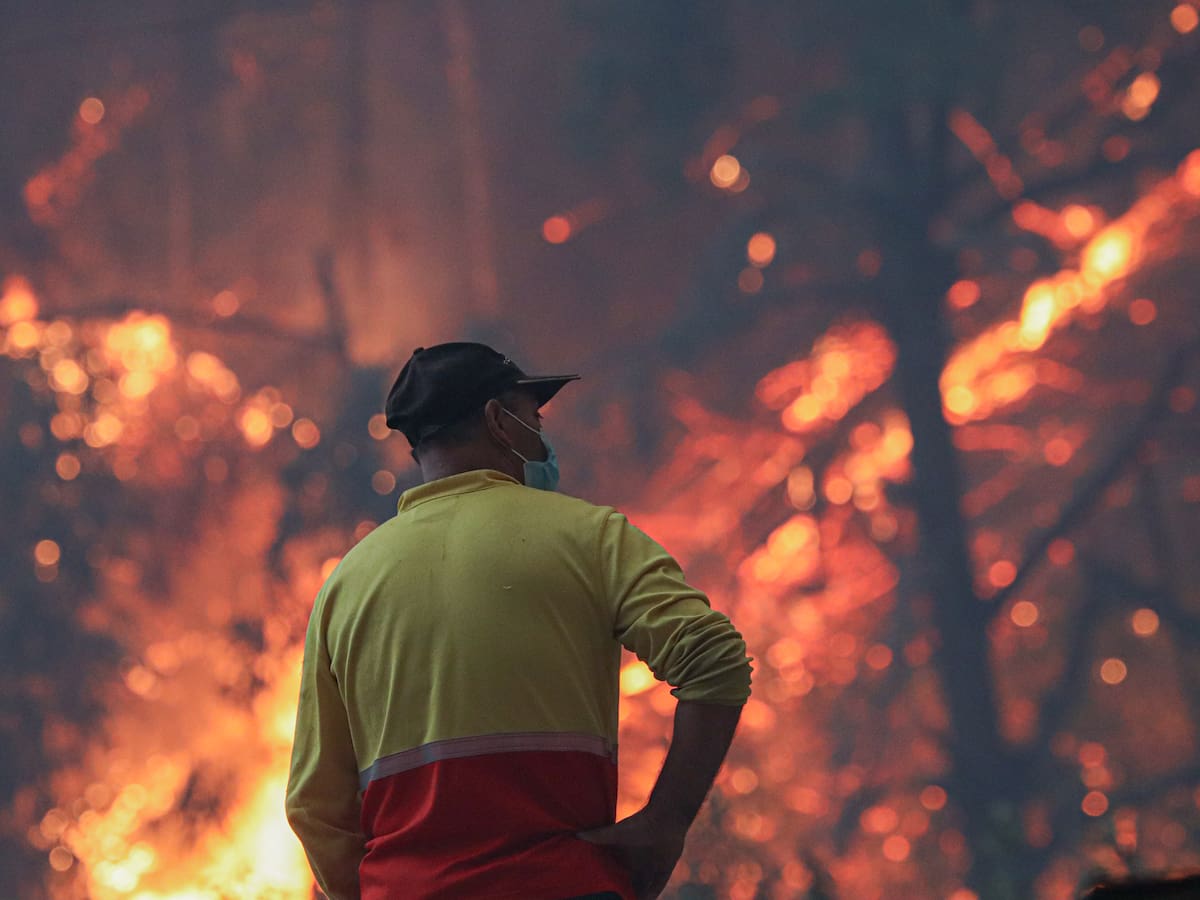 Senapred declara Alerta Roja por incendios forestales activos en comunas de región de O’Higgins y La Araucanía