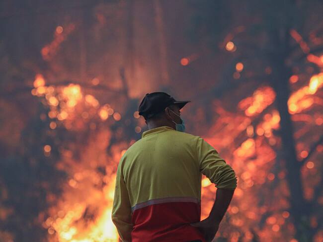 Incendio forestal