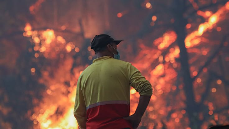 Senapred decreta Alerta Roja en Litueche por incendio forestal cercano a viviendas y llama a evacuar dos sectores de la comuna