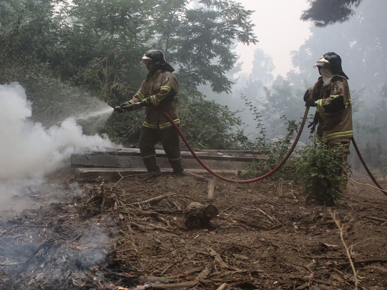 Senapred actualiza en 51 los incendios forestales en combate y en 800 las viviendas destruidas