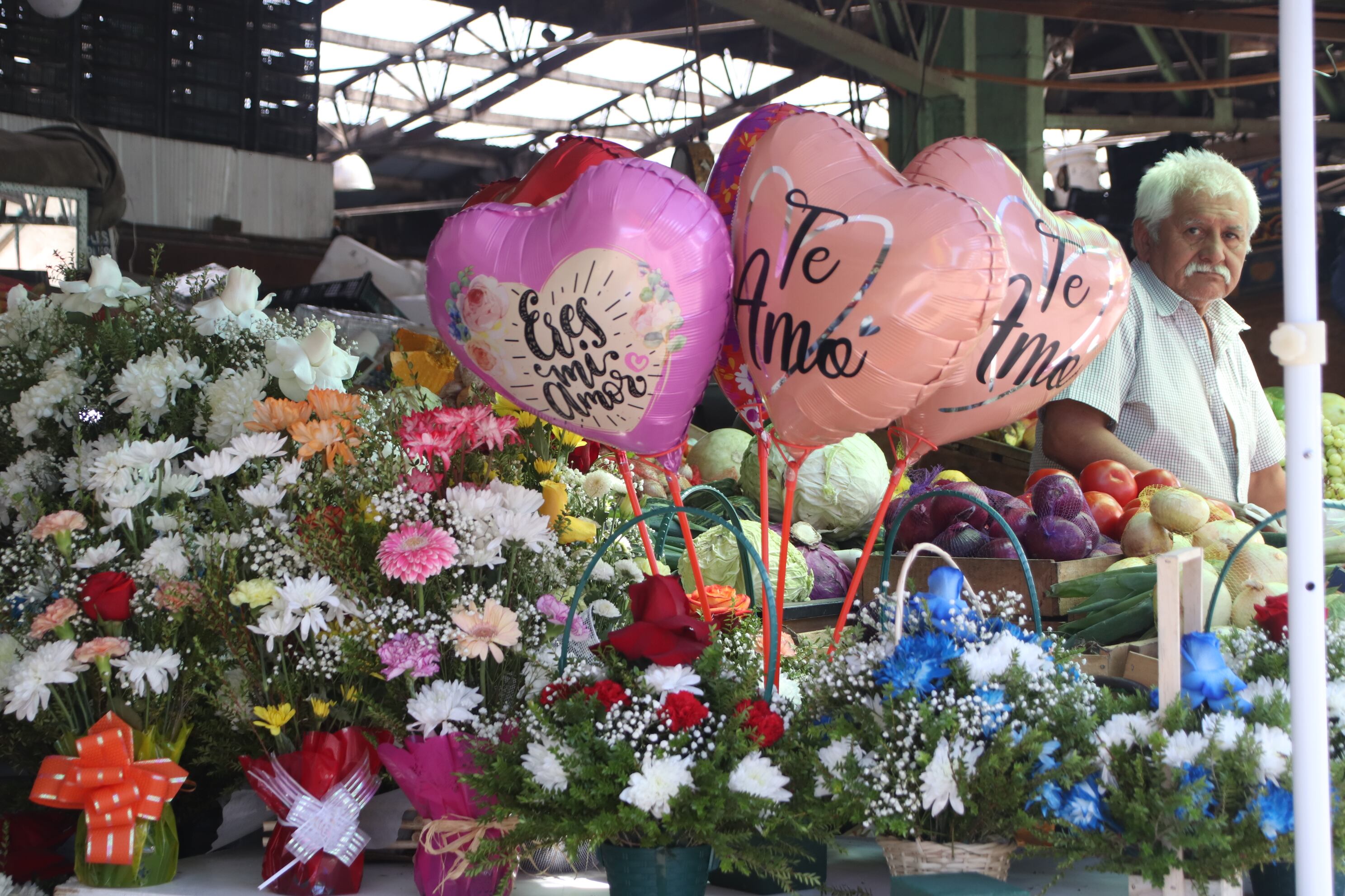 14 Febrero 2024/ OSORNODia de los enamorados en Osorno.FOTO: ALEXIS CARVAJAL / AGENCIA UNO