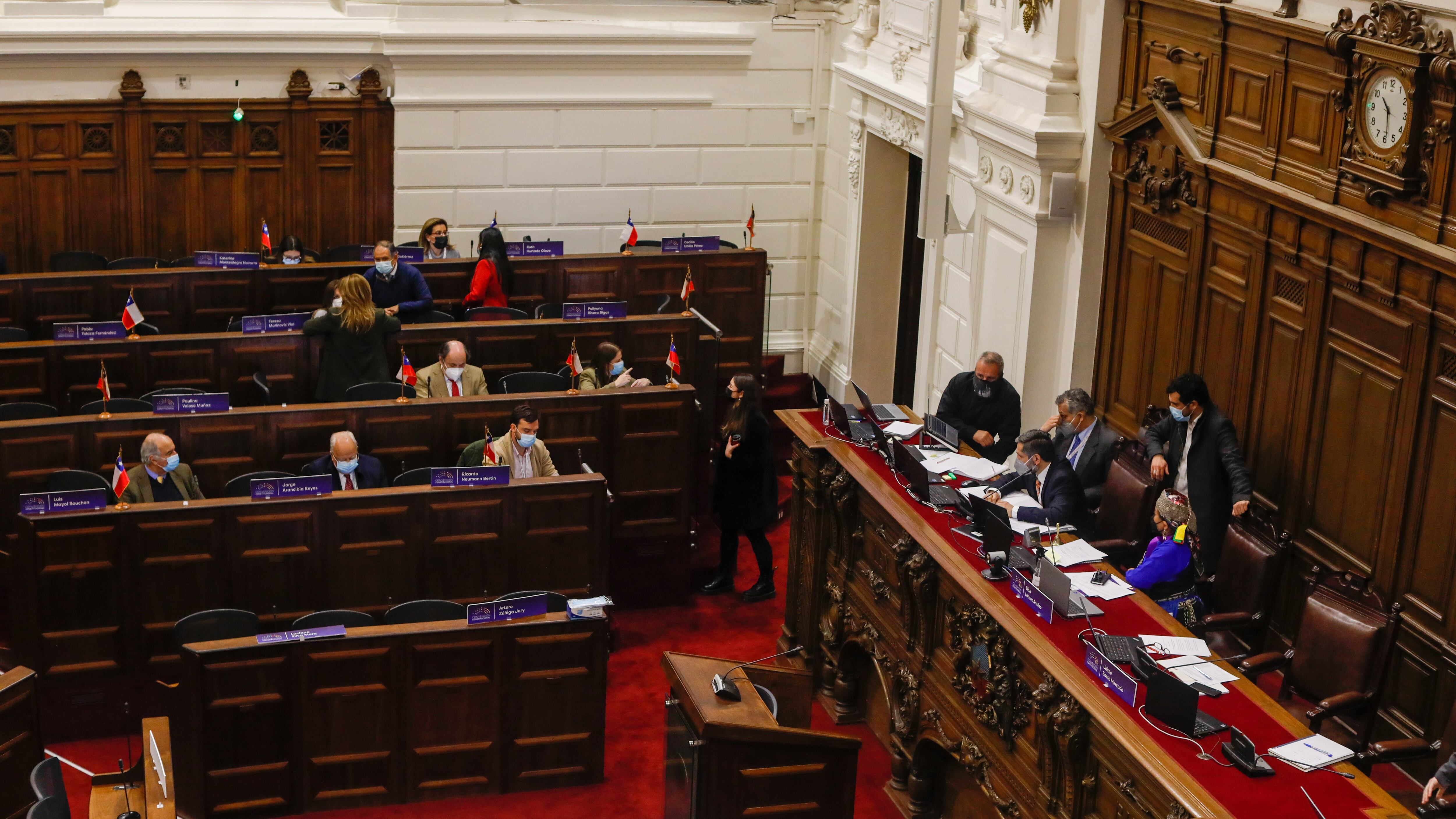 Convención Constitucional covid