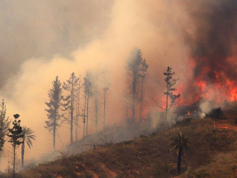 Víctimas fatales aumentan a 13 en Santa Juana