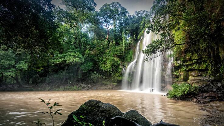 Una proeza del mundo animal: estudio analiza peces que escalan cataratas de hasta 15 metros contra corriente