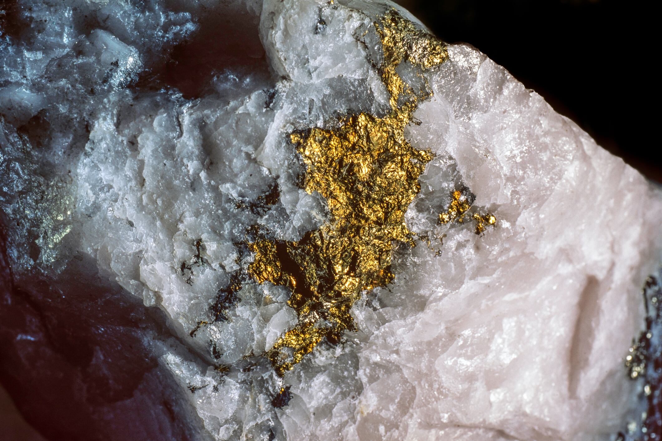 Oro