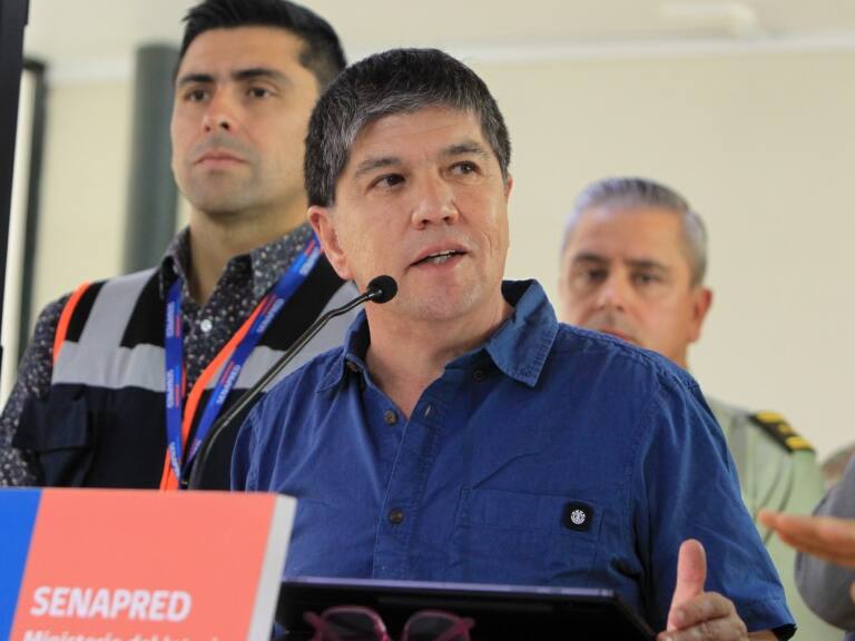 Subsecretario Monsalve y dichos de gobernador de La Araucanía sobre intencionalidad en incendios: «Las certezas las dan las investigaciones»