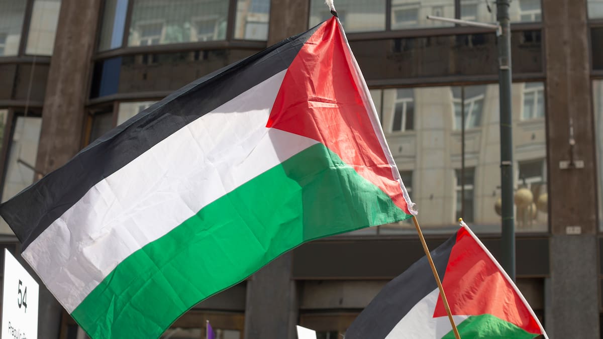 Embajada de Palestina cuestiona dichos de Zaliasnik y pide aclarar eventual cambio en postura de Chile