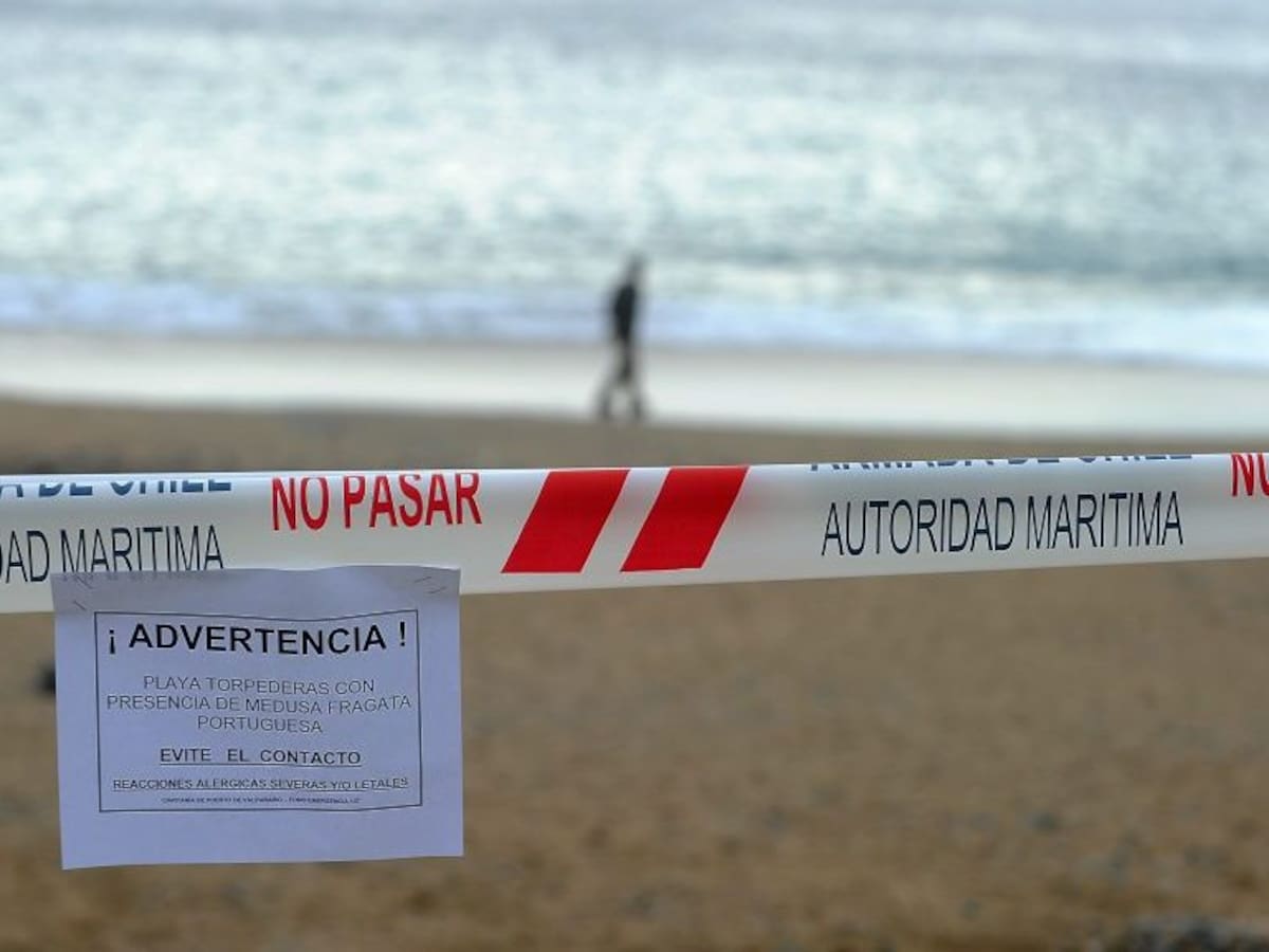 Seremi decretó cierre de playa de Viña del Mar y el Tabo por llegada de fragata portuguesa