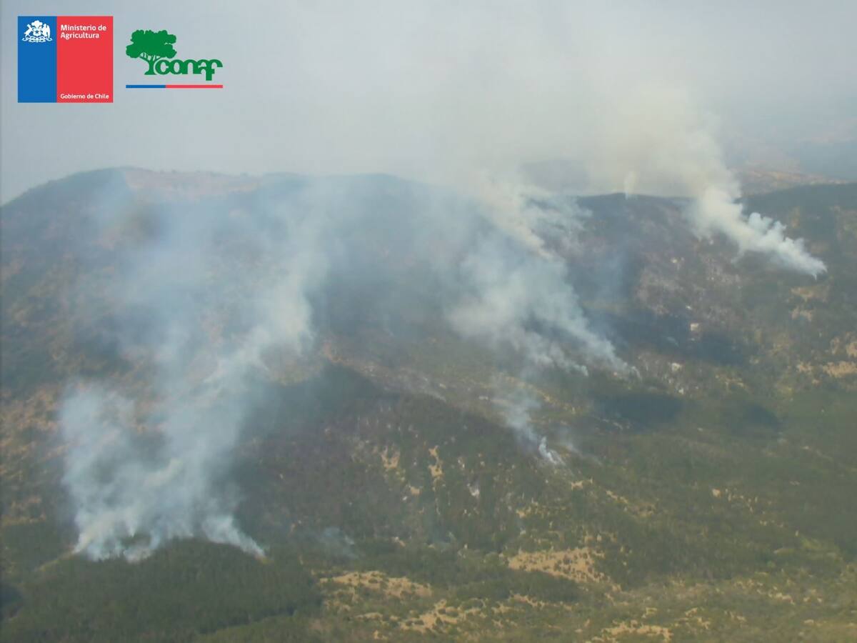 Decretan alerta roja para las comunas de Lumaco y Cholchol producto de los incendios forestales