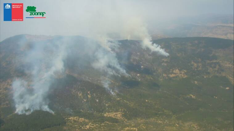 Incendio forestal Chimbarongo