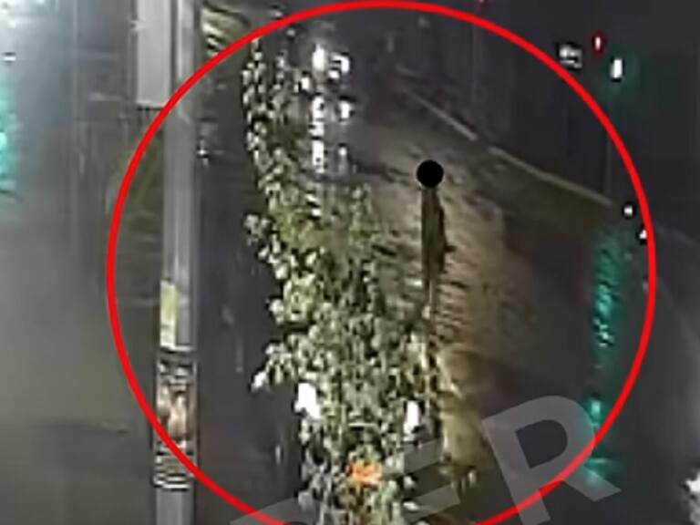 VIDEO CLAVE: Revelan imágenes de la denunciante de Manuel Monsalve visiblemente desorientada