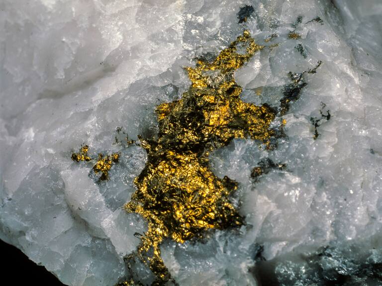 Getty Images - Referencial