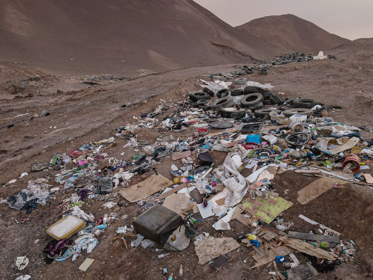 Día de la Tierra 2025: Greenpeace Andino detalla cuáles son los desafíos ambientales más visibles en Chile