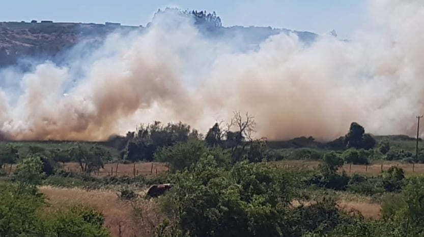 Incendio forestal en Litueche