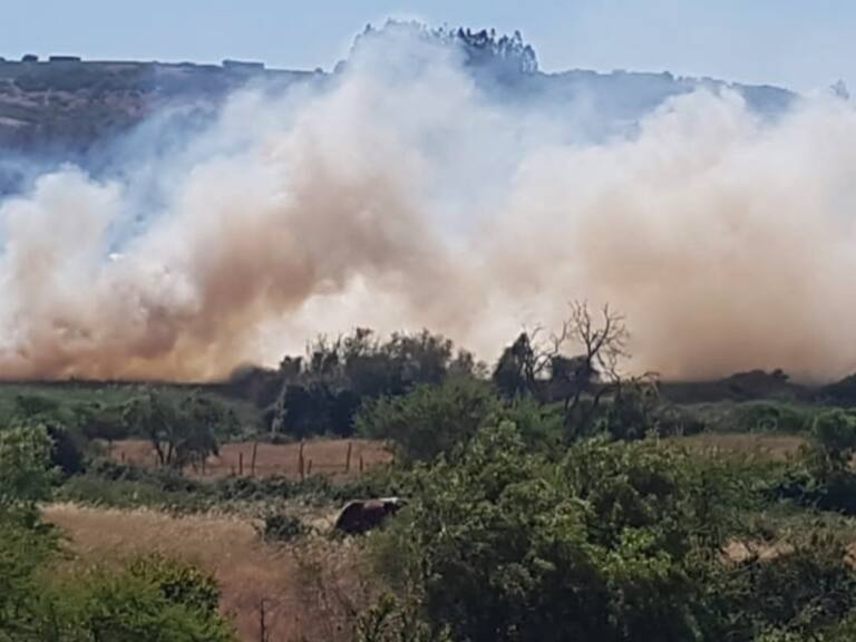 Incendio forestal en Litueche
