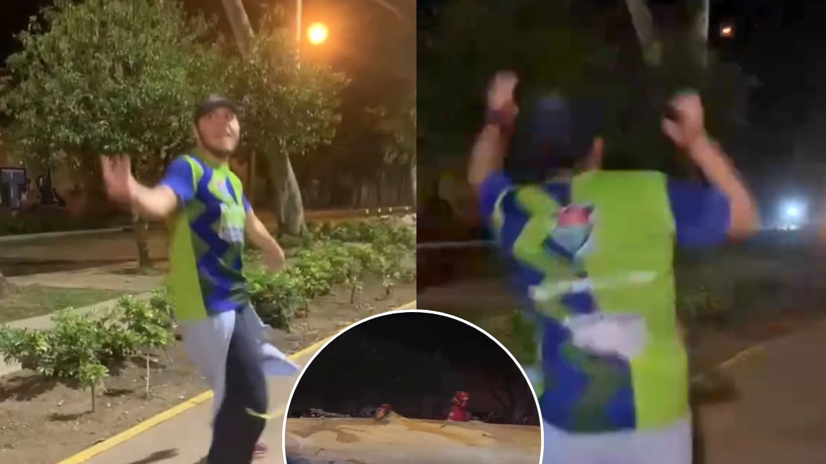 Árbol de 22 metros cae sobre un hombre que bailaba zumba: video ya es viral