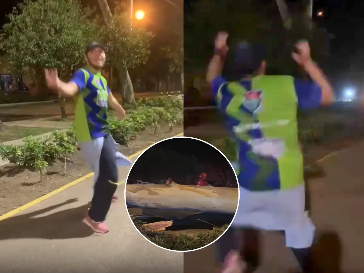 Árbol de 22 metros cae sobre un hombre que bailaba zumba: video ya es viral
