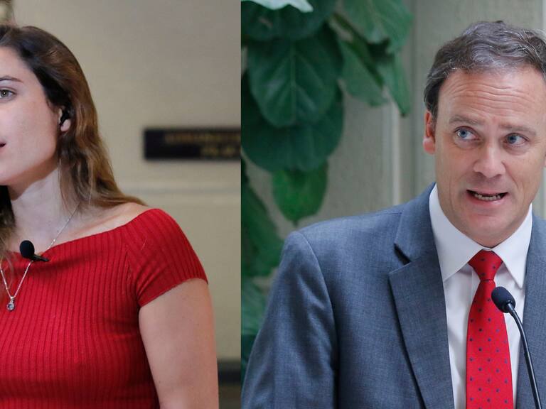 Diputada Maite Orsini acusó a ministro Felipe Ward de censurar comentario en redes sobre proyecto de ley