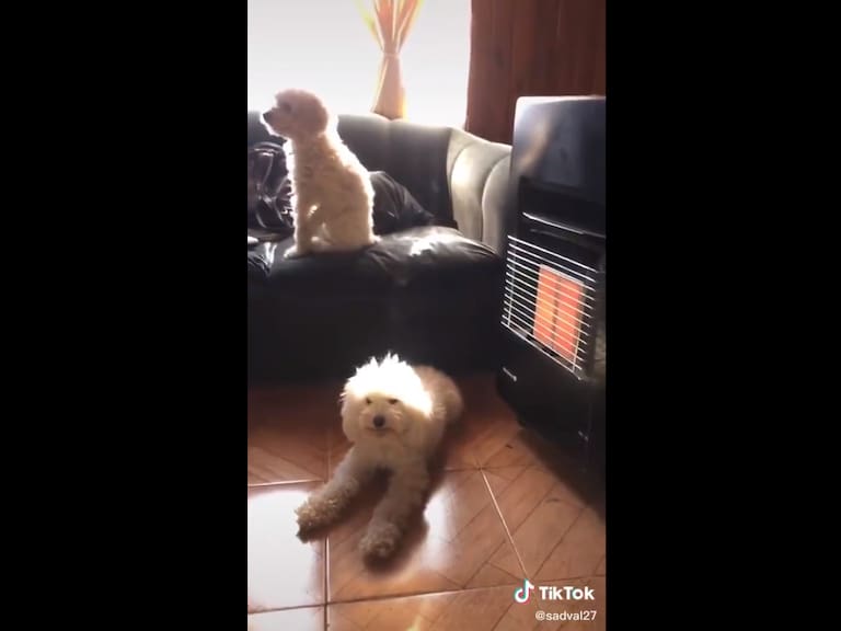 Los memes y reacciones que ha dejado el viral de «Sácala de ahí porque se está quemando»