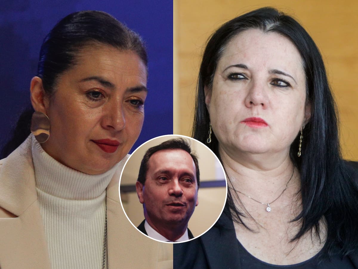 Contraloría exige informe a ministra Steinert y director de la PDI por oficio previo a salida de Consuelo Peña