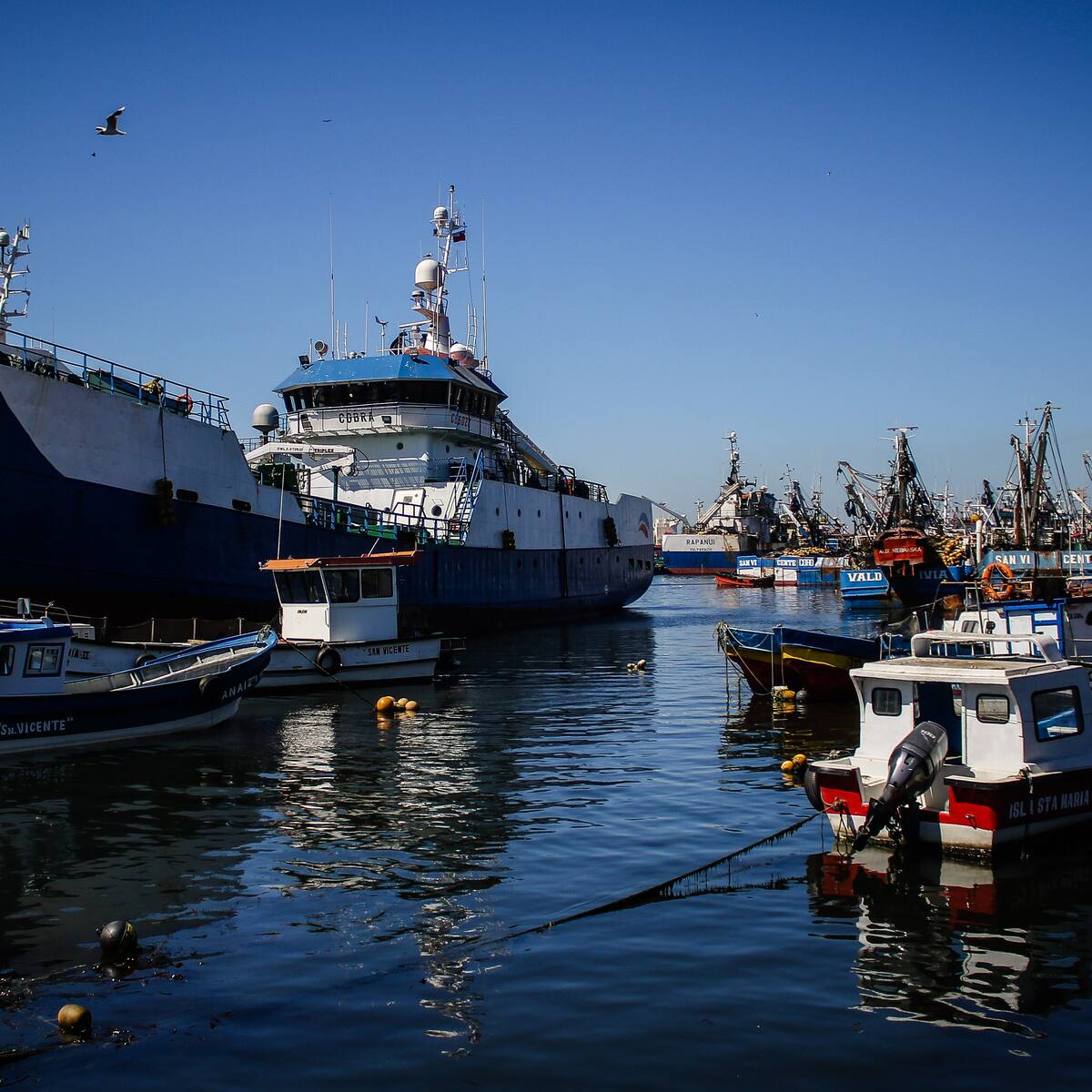 Parlamentarios se dividen tras decisión del Gobierno de no continuar con reforma a la Ley de Pesca