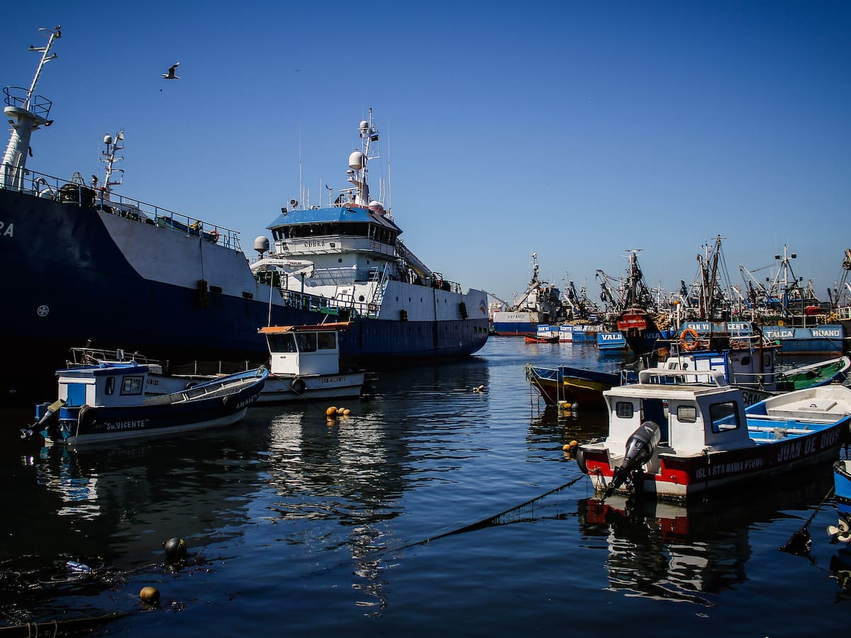 Parlamentarios se dividen tras decisión del Gobierno de no continuar con reforma a la Ley de Pesca