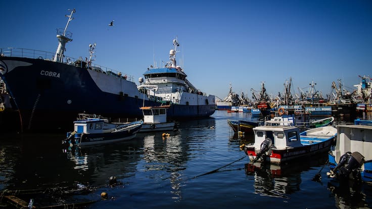 Parlamentarios se dividen tras decisión del Gobierno de no continuar con reforma a la Ley de Pesca