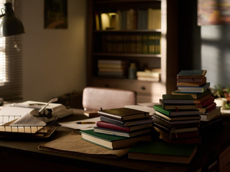 Stack of assorted books arranged on desk in home office with sunlight streaming through window, bookshelf filled with volumes in background, workspace suggesting academic or literary setting
