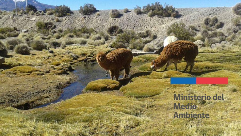 Plan Nacional de Adaptación el Cambio climático en Biodiversidad