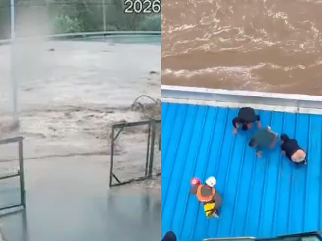 capturas