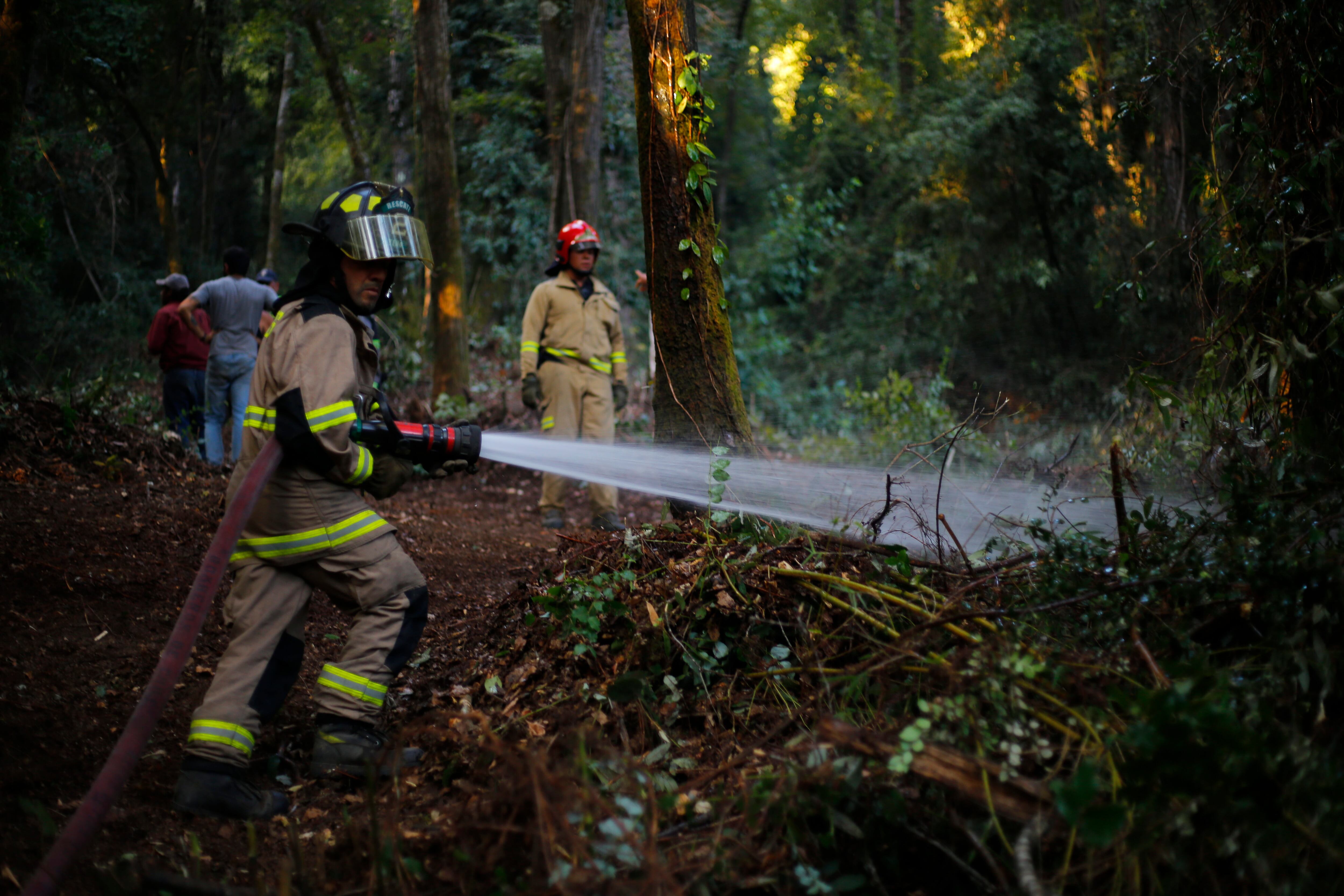 18 de Febrero del 2020/LOS ANGELES
Bomberos realiza labores de contencin de incendio en las afueras de la localidad de Radal Siete Tazas, en la comuna de Molina

FOTO:SEBASTIAN BROGCA/AGENCIAUNO