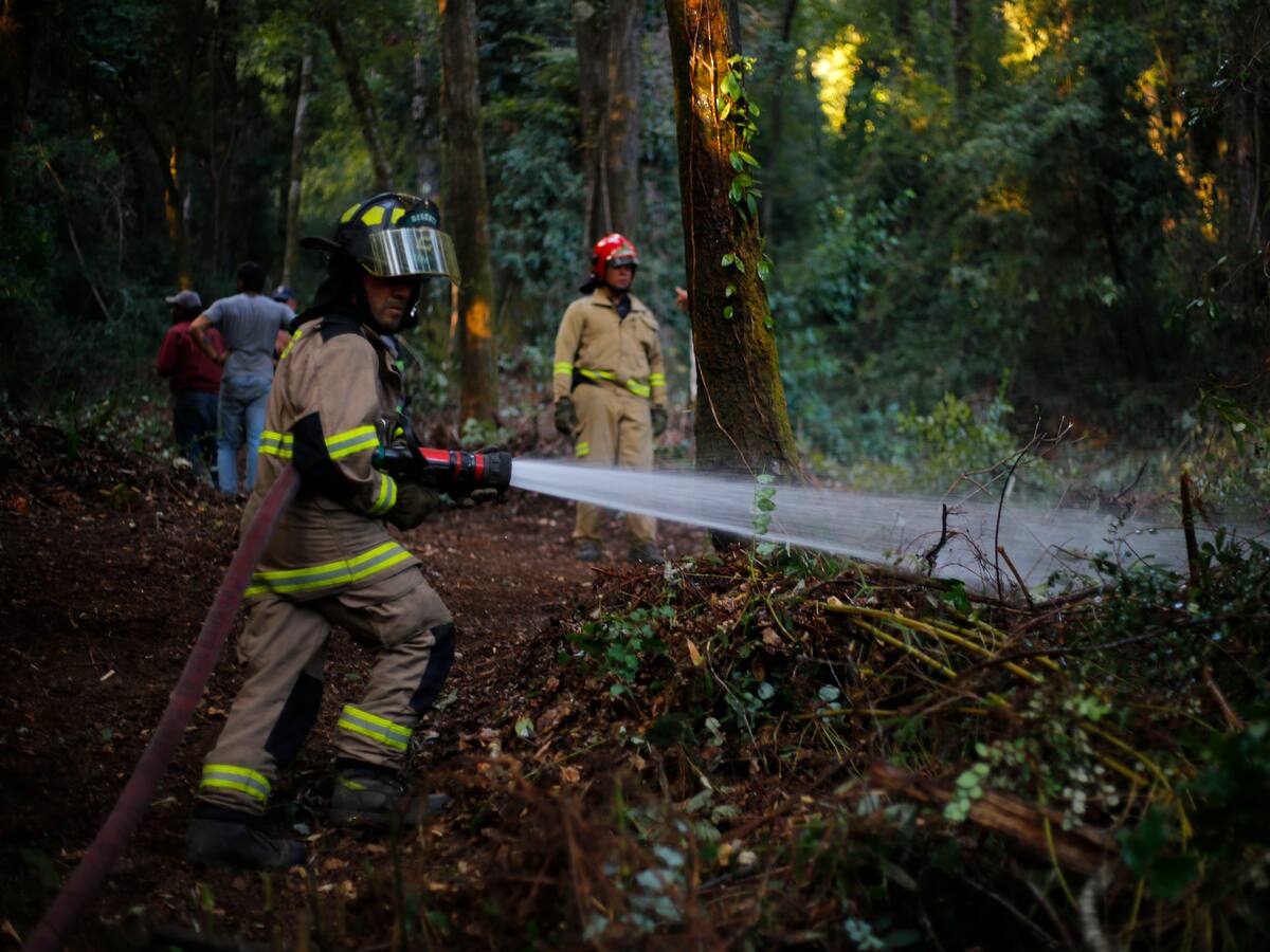 Bomberos tocarán las sirenas en protesta por reducción de presupuesto este martes y miércoles