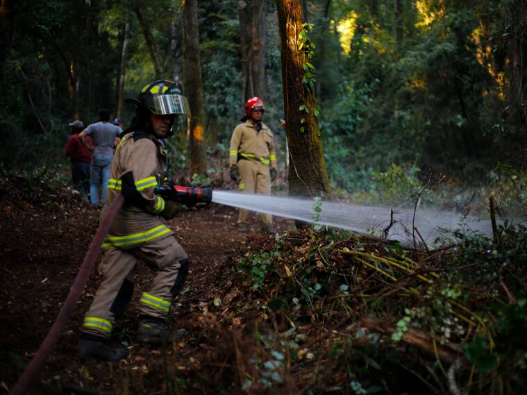 18 de Febrero del 2020/LOS ANGELES
Bomberos realiza labores de contencin de incendio en las afueras de la localidad de Radal Siete Tazas, en la comuna de Molina
FOTO:SEBASTIAN BROGCA/AGENCIAUNO