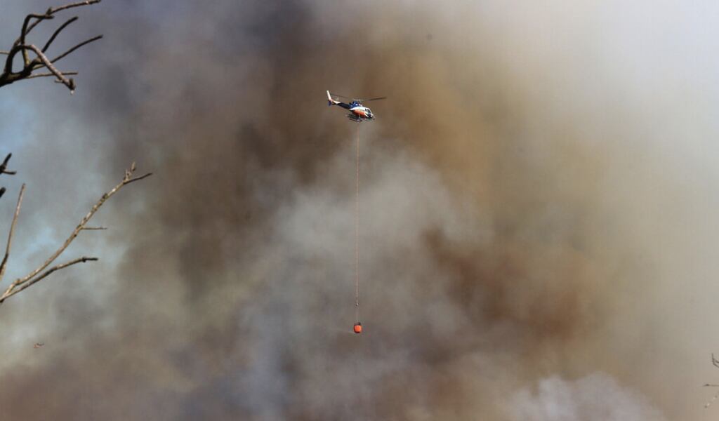 incendio forestal zapallar