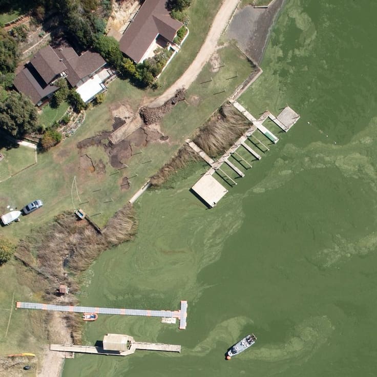 “El sistema se desbalancea”: la advertencia científica sobre la contaminación ambiental en el lago Vichuquén