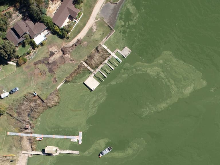 “El sistema se desbalancea”: la advertencia científica sobre la contaminación ambiental en el lago Vichuquén