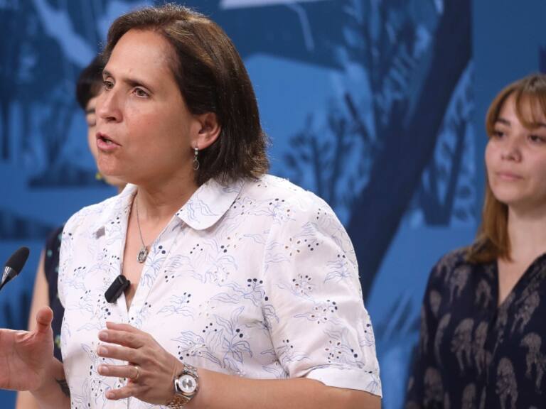 Carolina Leitao y demolición de «narco casas»: «Hoy tienen un efecto comunicacional, pero no sabemos cuáles son los resultados efectivos»