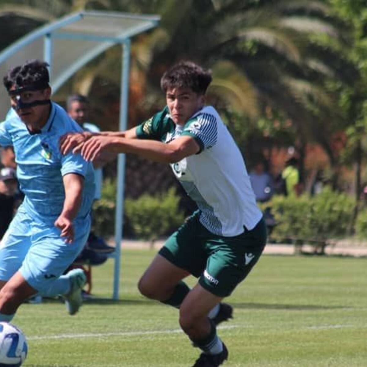 Otro problema para Milad: ANFP no dispondrá de dineros para financiar el Fútbol Joven