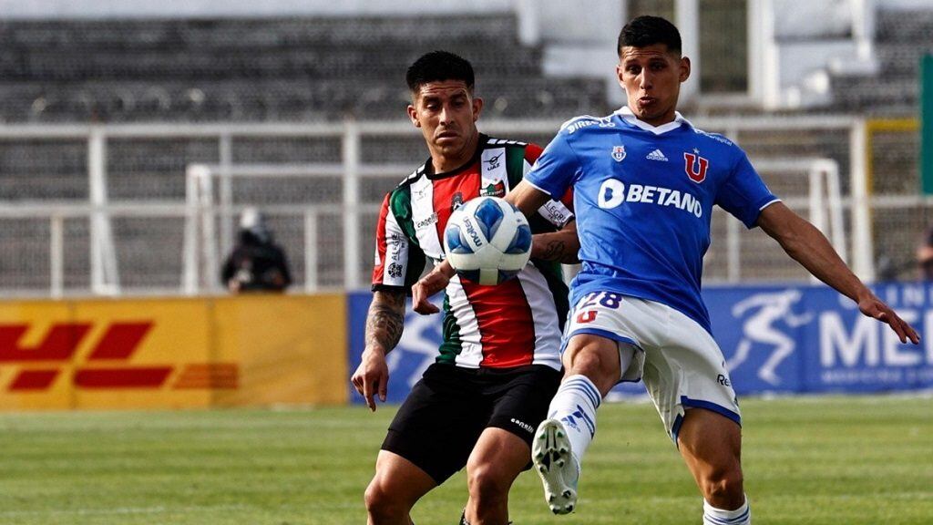 La U Palestino