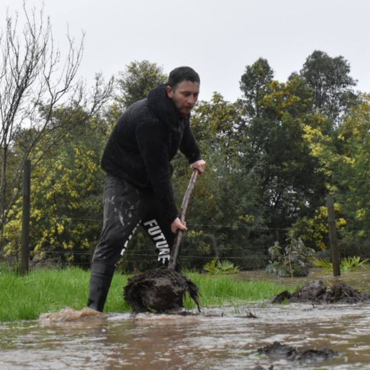 Indap explica que producción de productos agrícolas «se va a complementar» con otras zonas del país para evitar alzas por las lluvias