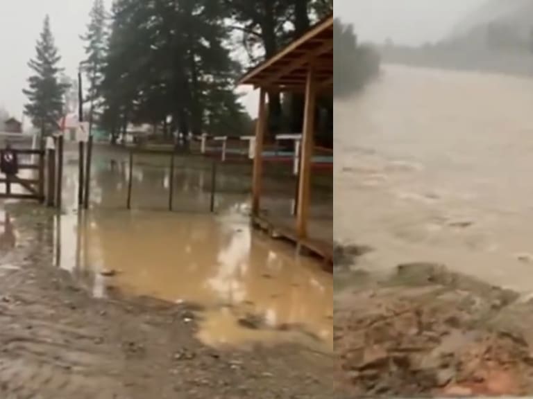 X @LinaresEnLinea