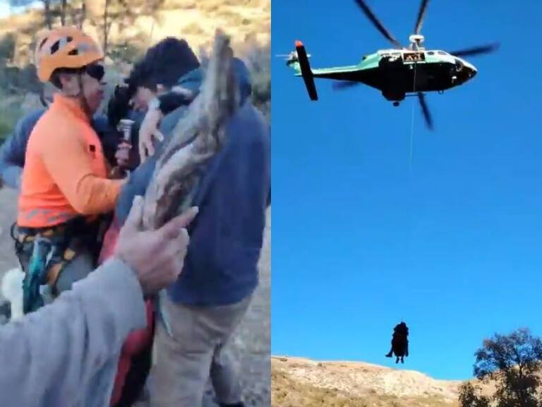 Cerro Cantillana en Alhué: GOPE rescata a arriero que cayó de su caballo y se fracturó una pierna