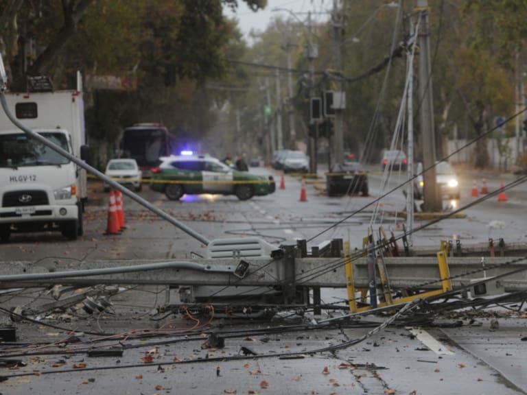 El Bosque postes de luz