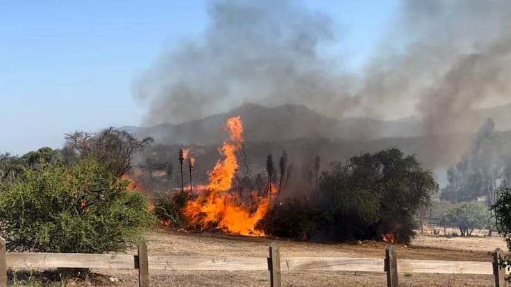 “Fueron ocasionados por actos negligentes o accidentes”: Conaf descarta que haya intencionalidad tras incendios