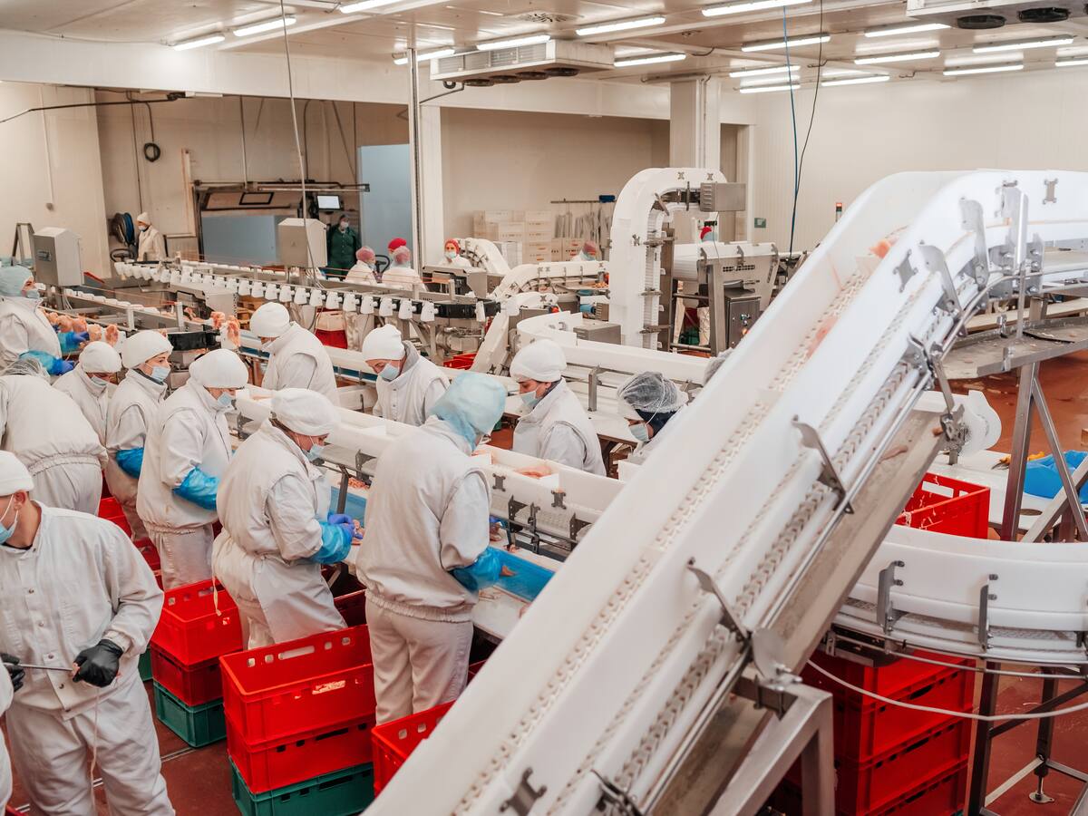 Famosa empresa chilena anuncia su cierre definitivo: afectará a 3.000 trabajadores a partir de esta fecha